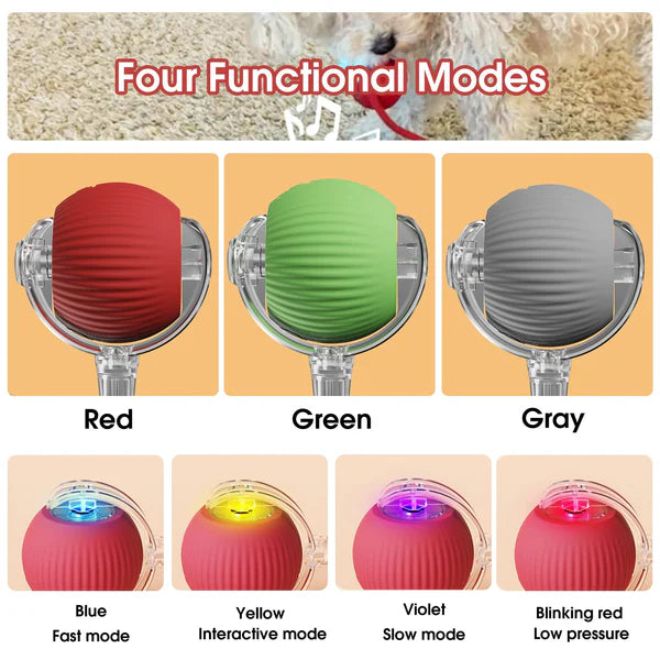 🐾Bet Your Cat Can't Catch ThisThe Ball That Learns Escape Routes🐾