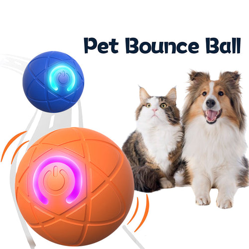 ✨✨2025 New Release -50% Off - Pet Bounce Ball for Cats🐱 & Dogs🐕