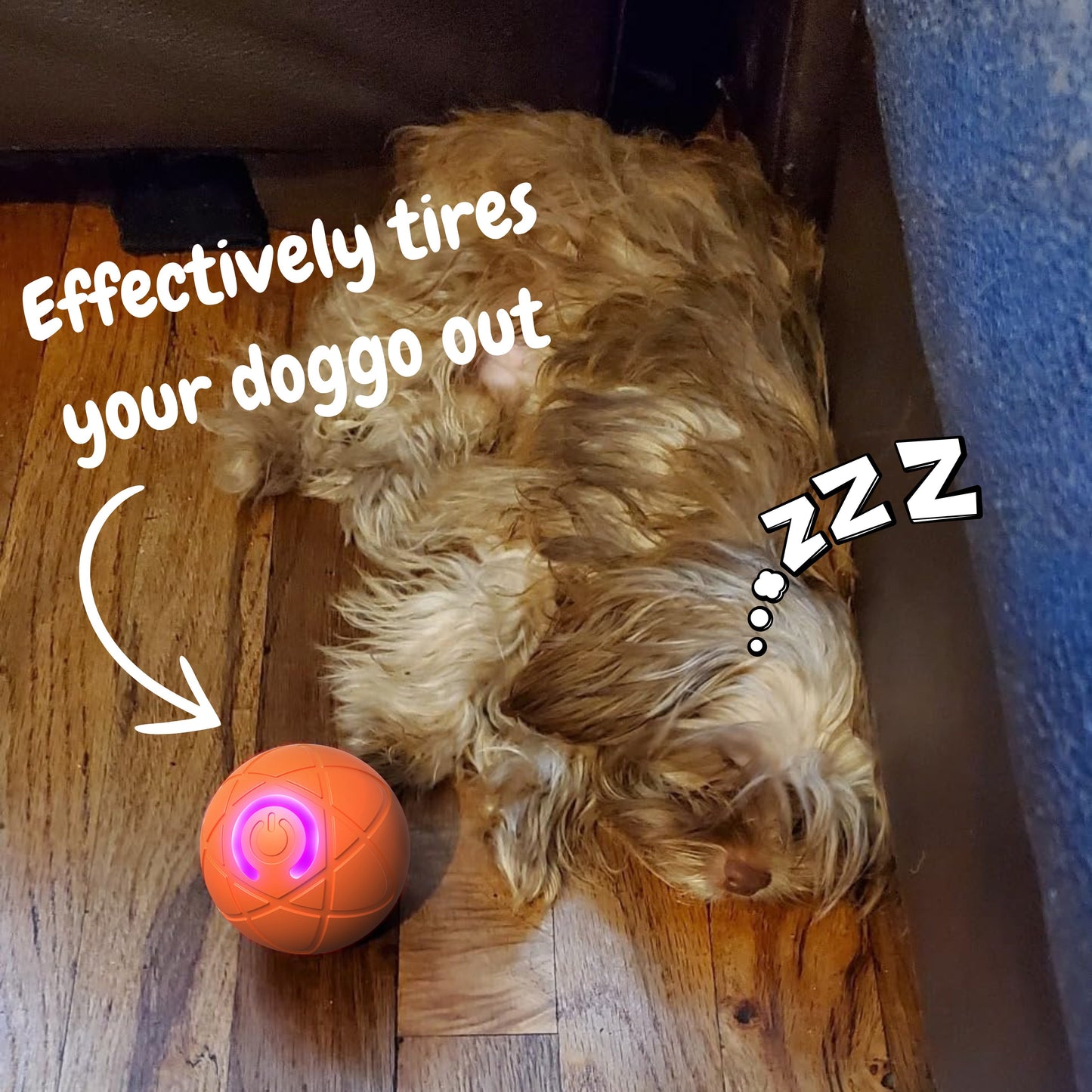 ✨✨2025 New Release -50% Off - Pet Bounce Ball for Cats🐱 & Dogs🐕