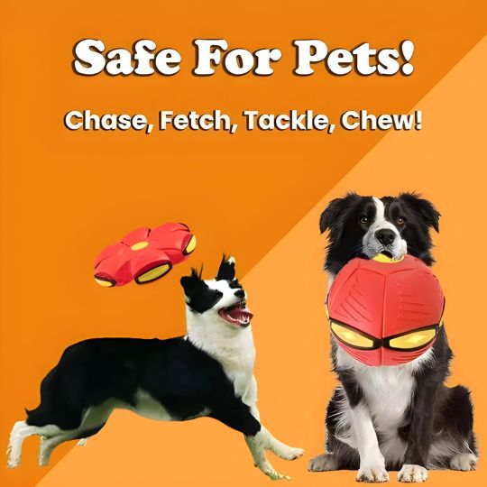 🐕ODALIT™Doggy Disc Ball🛸