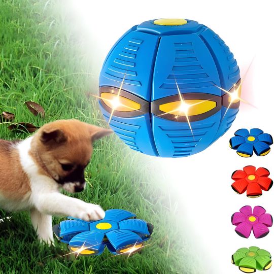 🐕ODALIT™Doggy Disc Ball🛸