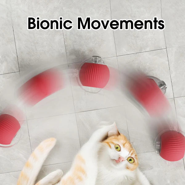 🐾Bet Your Cat Can't Catch ThisThe Ball That Learns Escape Routes🐾