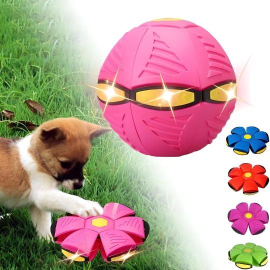 🐕ODALIT™Doggy Disc Ball🛸