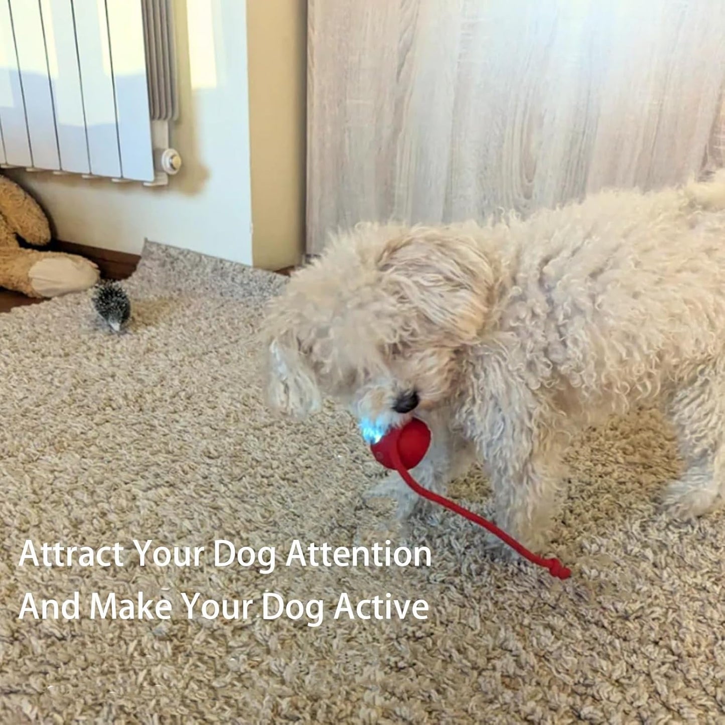 🐾Bet Your Cat Can't Catch ThisThe Ball That Learns Escape Routes🐾