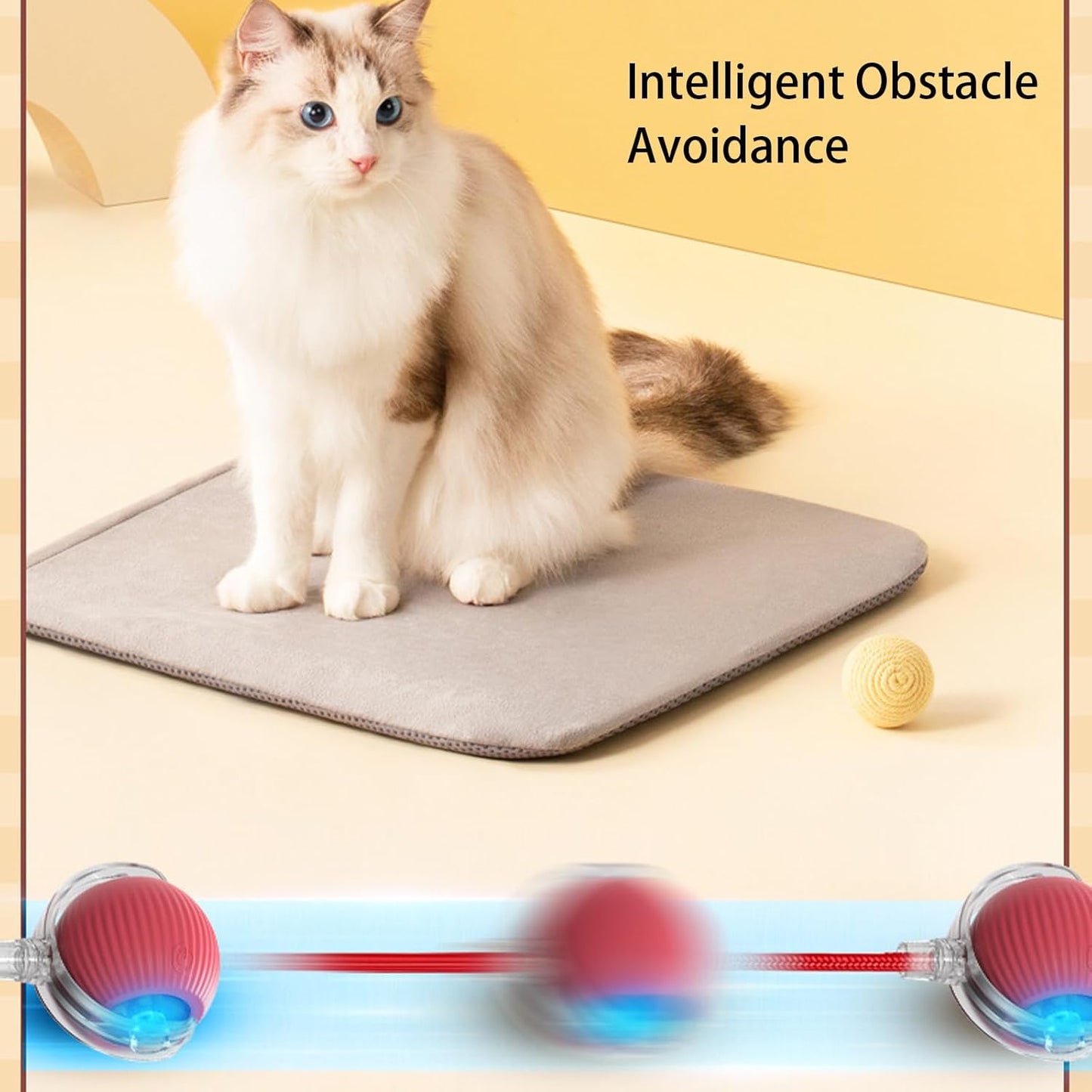 🐾Bet Your Cat Can't Catch ThisThe Ball That Learns Escape Routes🐾