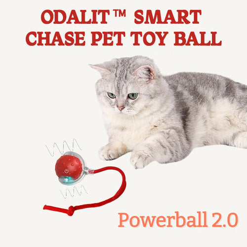 🐾Bet Your Cat Can't Catch ThisThe Ball That Learns Escape Routes🐾