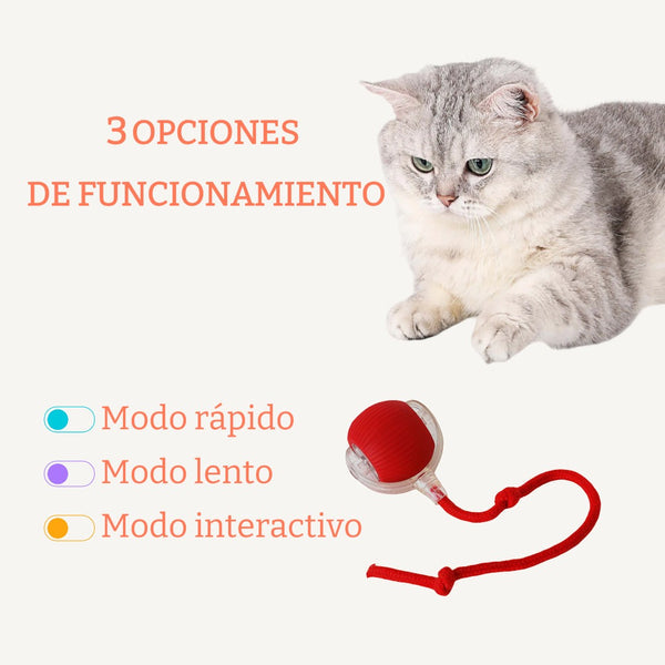 🐾Bet Your Cat Can't Catch ThisThe Ball That Learns Escape Routes🐾