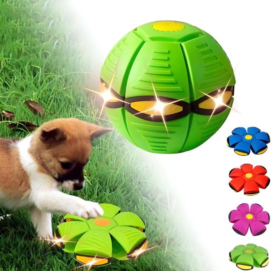 🐕ODALIT™Doggy Disc Ball🛸