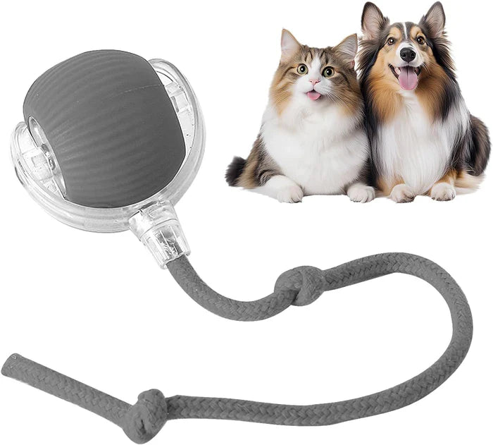 🐾Bet Your Cat Can't Catch ThisThe Ball That Learns Escape Routes🐾