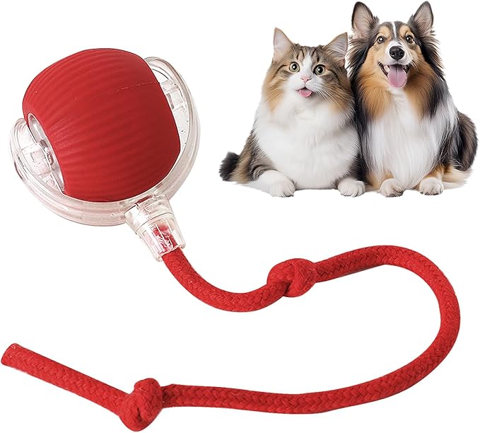 🐾Bet Your Cat Can't Catch ThisThe Ball That Learns Escape Routes🐾