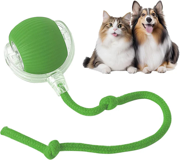 🐾Bet Your Cat Can't Catch ThisThe Ball That Learns Escape Routes🐾