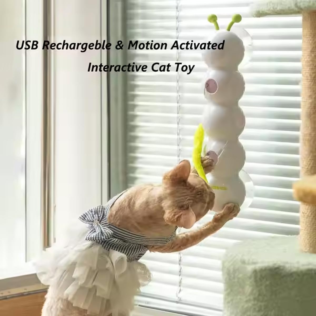 🔥Last Day 49% OFF - 😻🐛Whack a Mole Cat Toy