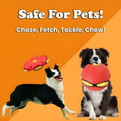 🐕ODALIT™Doggy Disc Ball🛸