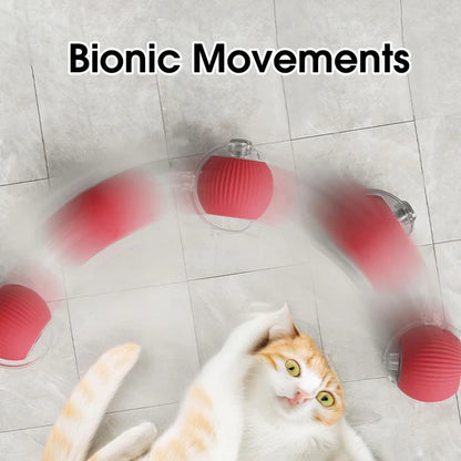 🐾Bet Your Cat Can't Catch ThisThe Ball That Learns Escape Routes🐾