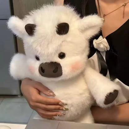 🐮The Highland cow – Emotional Healing on Demand 🌈