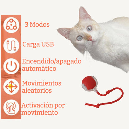 🐾Bet Your Cat Can't Catch ThisThe Ball That Learns Escape Routes🐾