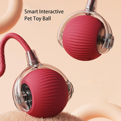 🐾Bet Your Cat Can't Catch ThisThe Ball That Learns Escape Routes🐾
